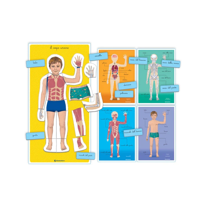 Sapientino Montessori - Il Corpo Umano