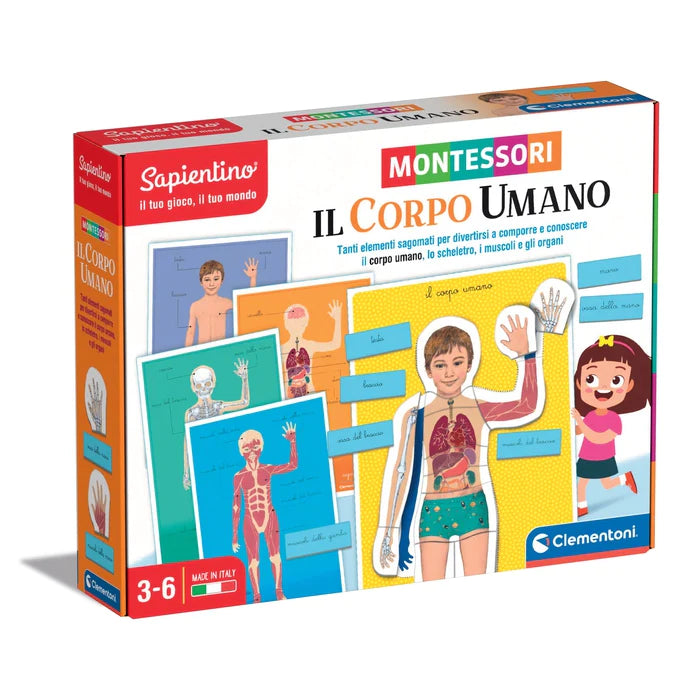 Sapientino Montessori - Il Corpo Umano