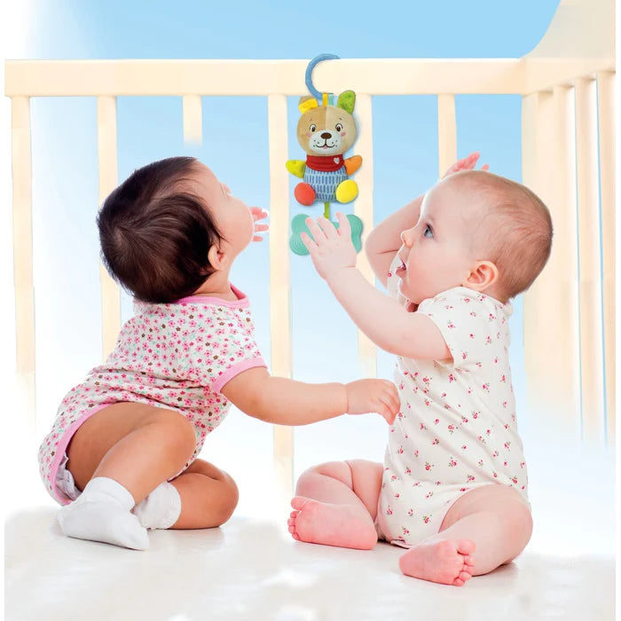 Soft Dog Rattle