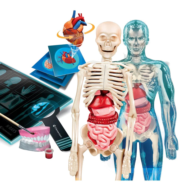 Anatomia Super