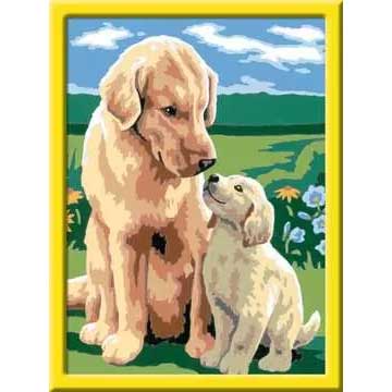 Creart Retriever Sul Prato