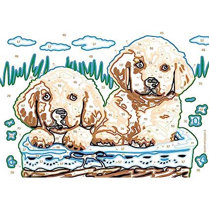 Creart Cani Retriever