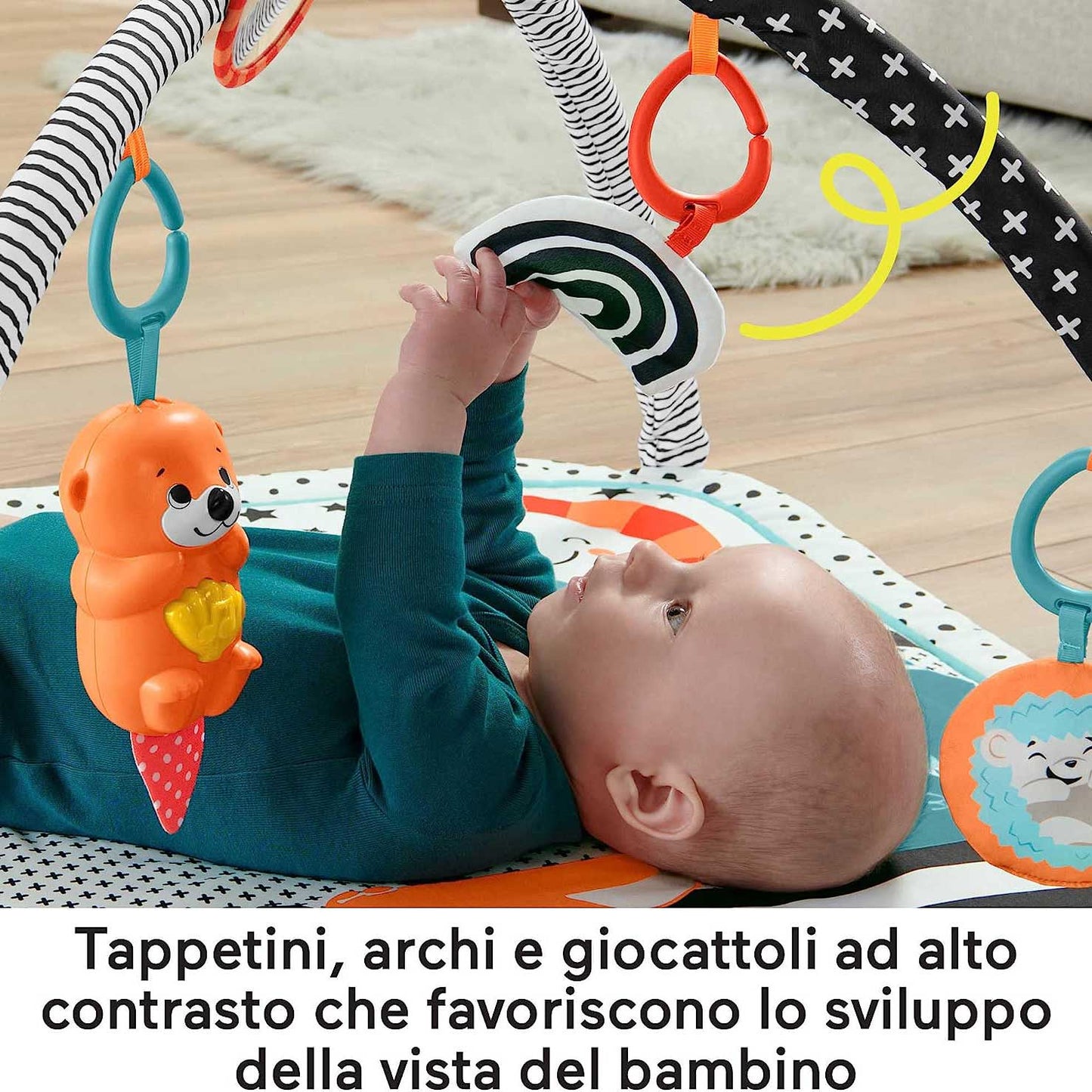 Palestrina luci e suoni - Amici Animali