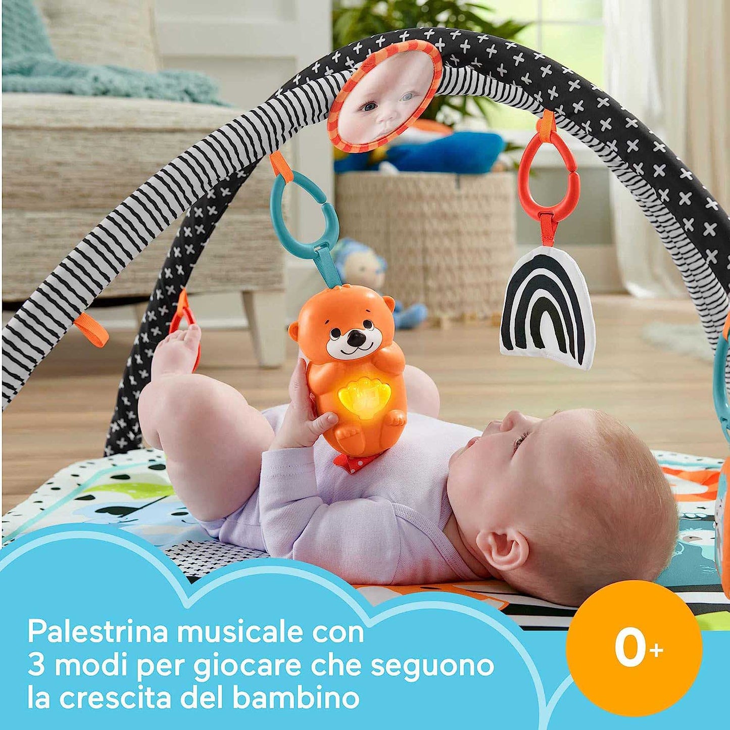 Palestrina luci e suoni - Amici Animali