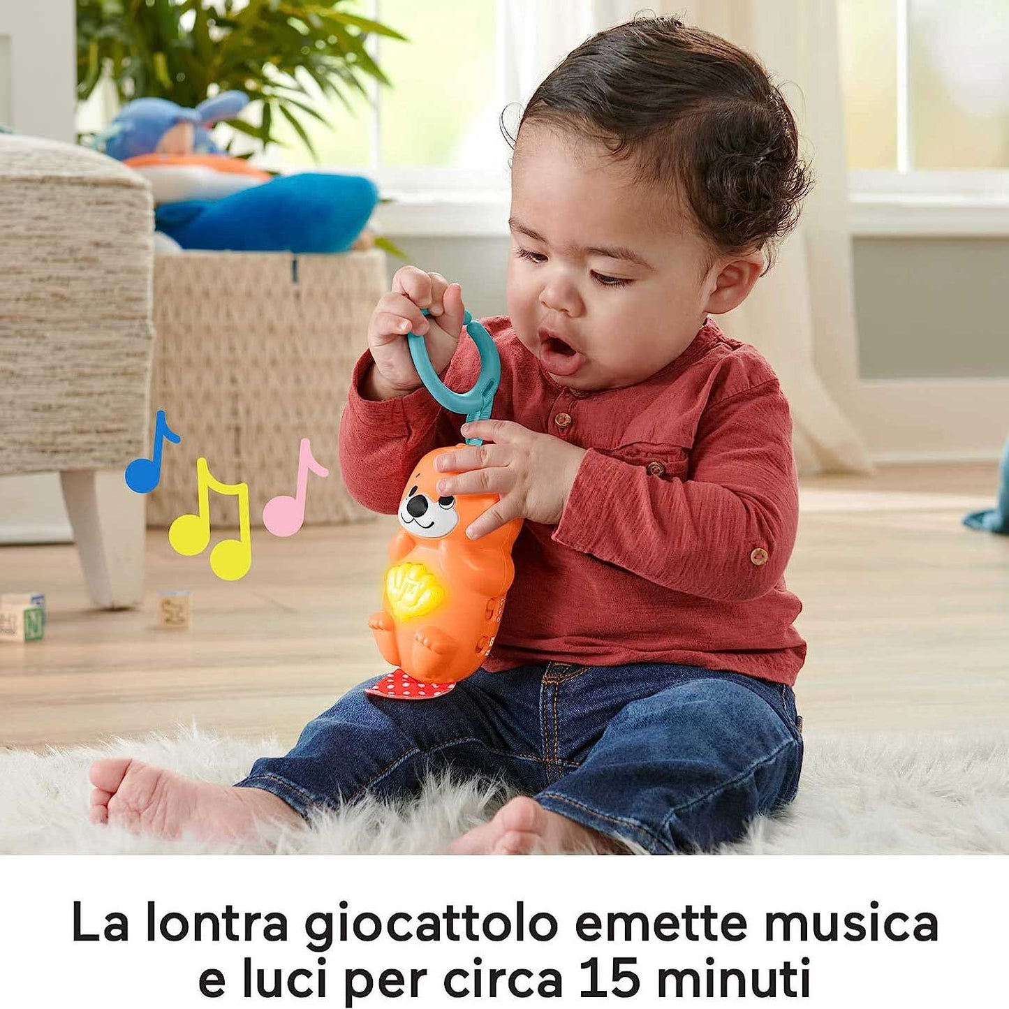 Palestrina luci e suoni - Amici Animali