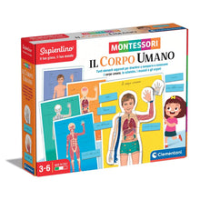 Sapientino Montessori - Il Corpo Umano