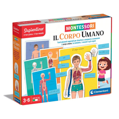 Sapientino Montessori - Il Corpo Umano