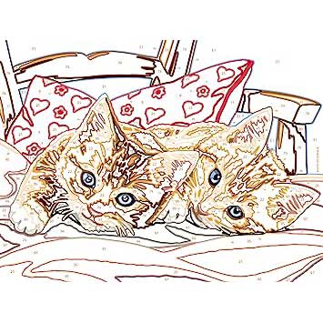 Creart Gattini Sul Cuscino