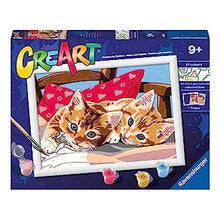 Creart Gattini Sul Cuscino